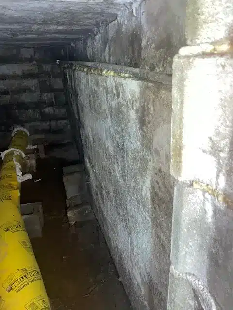 Buckling Cellar Walls Before Repair