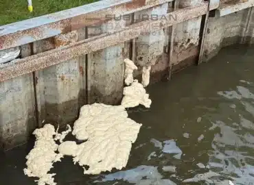 Polyurethane foam surfacing through holes in a canal seawall in Harrison Township MI, contained by a turbidity barrier