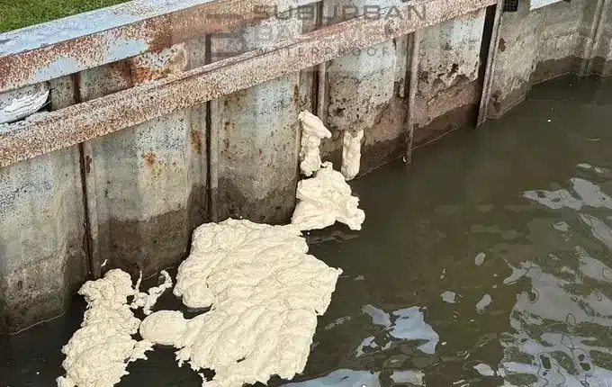 Polyurethane foam surfacing through holes in a canal seawall in Harrison Township MI, contained by a turbidity barrier