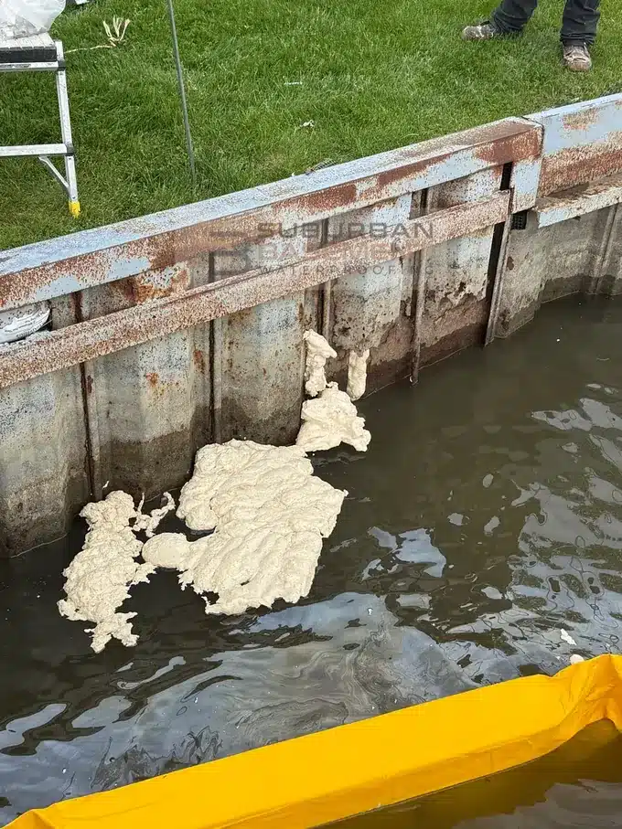 Polyurethane foam surfacing through holes in a canal seawall in Harrison Township MI, contained by a turbidity barrier